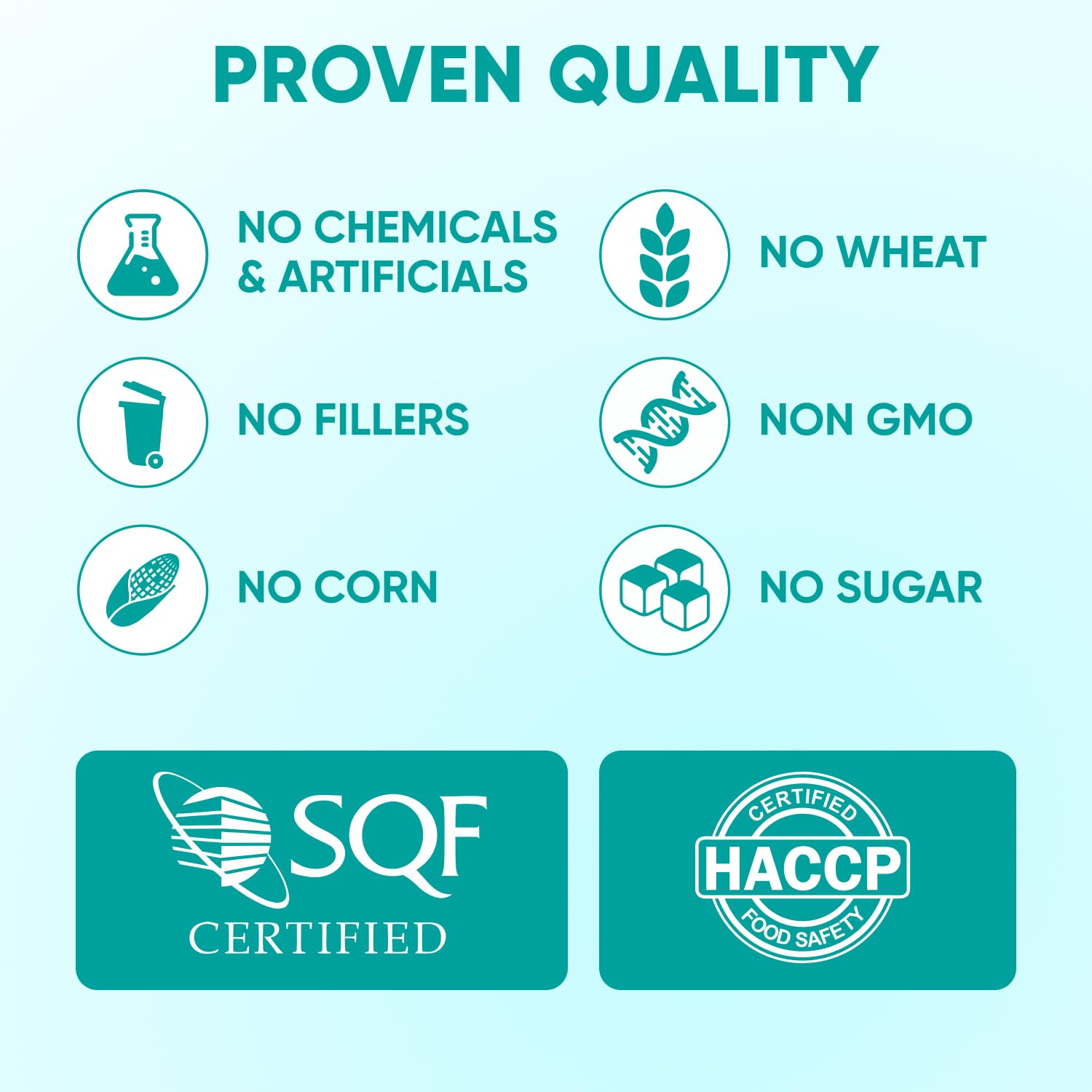 Hemp Calming Chews for Dogs. Chosen for real quality, fits naturally into modern pet homes.