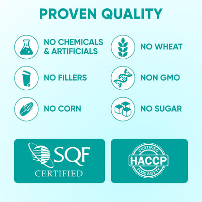 Hemp Calming Chews for Dogs. Chosen for real quality, fits naturally into modern pet homes.