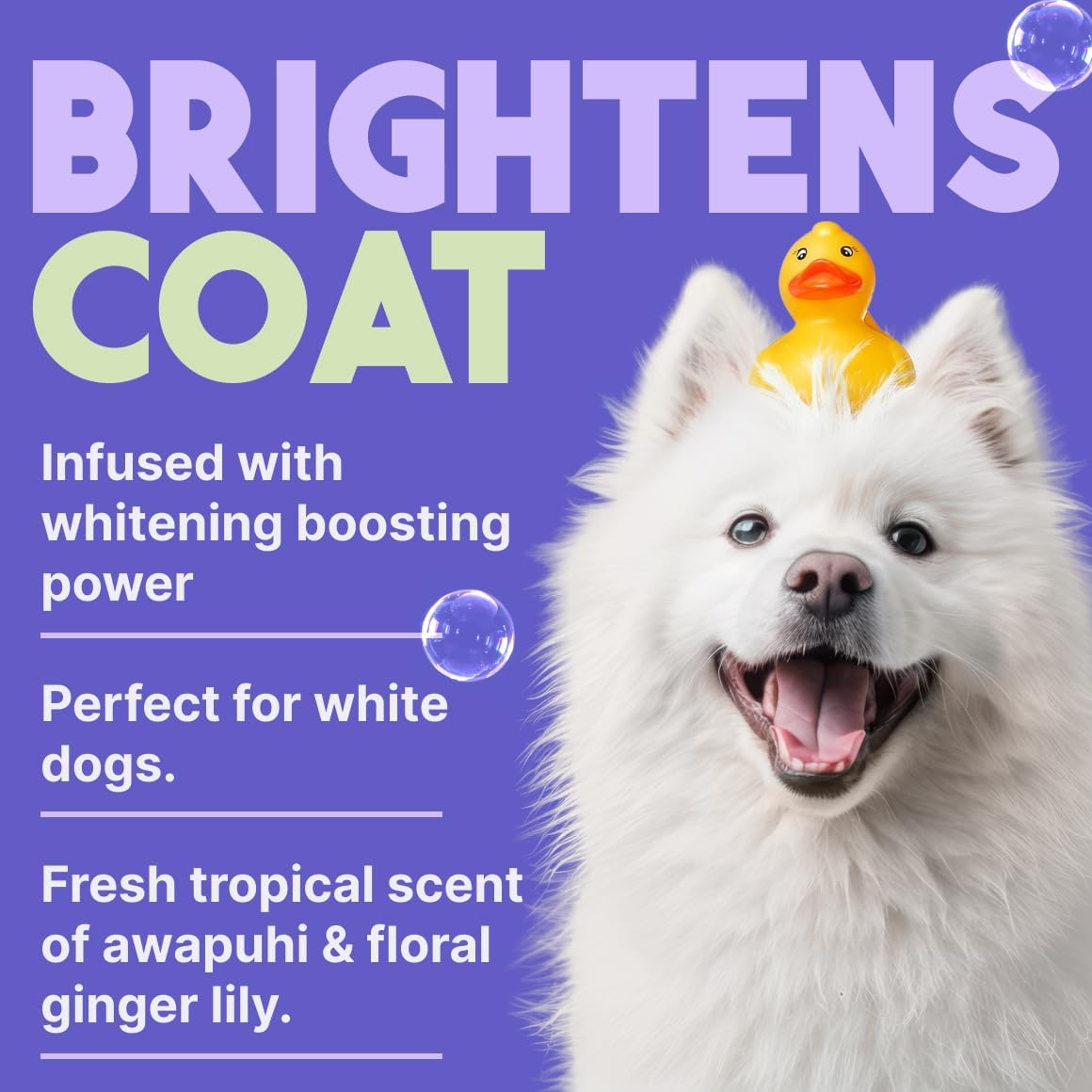 TropiClean Whitening Dog Shampoo, Whitening & Brightening, For All Coat & Color Types, Puppy Safe, Made in the USA, Cat Friendly, 20oz.