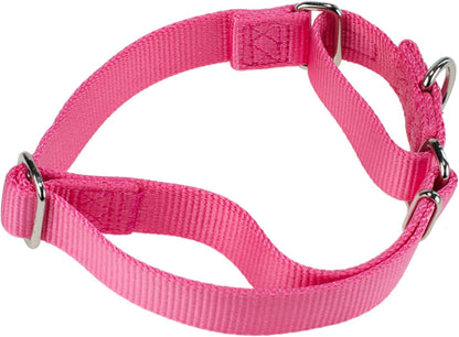 Hyhug Improved Design Nylon Webbing, Cold Water Washing Does Not Fade, Not Polluting Dog Hair, Wear Resistant and Not Prone to Fuzzing. No Slip Training Martingale Collar. (Candy Pink, Large)