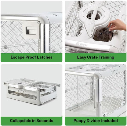 DIGGS Revol Collapsible Dog Crate with Wheels - Premium Portable Dog Crate - Safe, Stylish, and Convenient Indoor Kennel (Ash, Small)