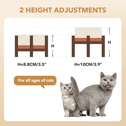 Ceramic 5.1inch Raised Double Bowls Set with Acacia Wood Stand, 2 Heights Elevated, Food & Water Bowls for Puppy, Kitty, Cats(13.5oz, Vanilla White)