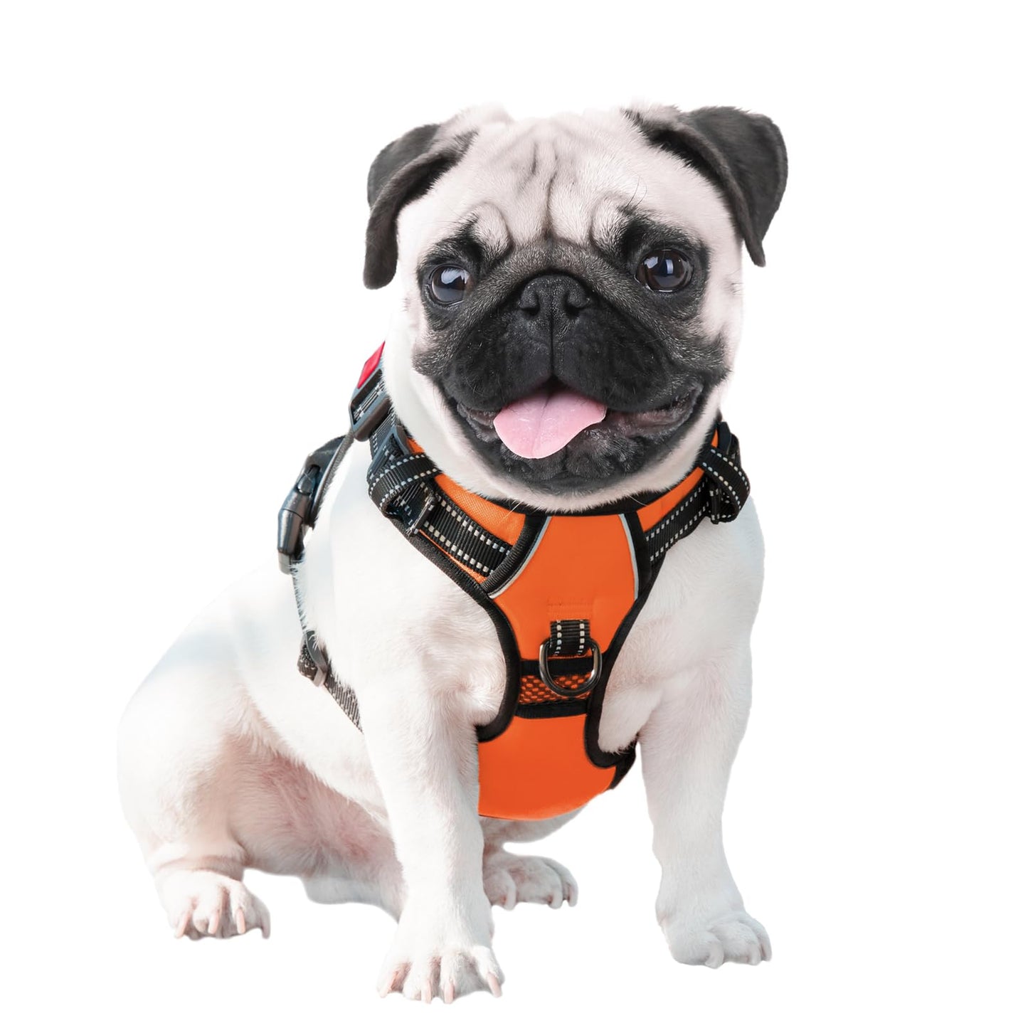 PHOEPET No Pull Dog Harnesses for Small Dogs. Chosen for real quality, fits naturally into modern
