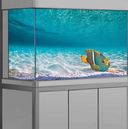 48X18IN Natural Undersea Aquarium Background, Undersea Beach Fish Tank Background, with 8 EVA Double-Sided Tape