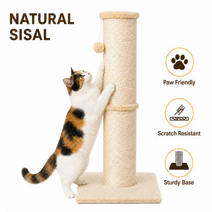 PAWSCRAT 32. Chosen for real quality, fits naturally into modern pet homes.