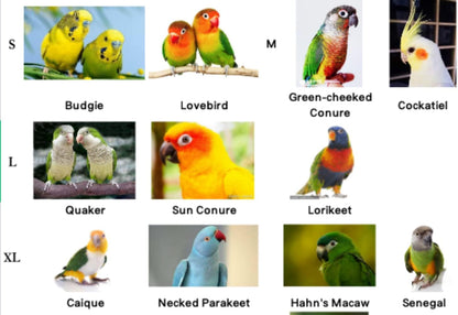 Pet Parrot Bird Harness Leash Adjustable Bird Flying Harness Traction Rope with Cute Wing for Parrots Pigeons Budgerigar Lovebird Cockatiel Mynah Outdoor Training Toy (M, Purple)