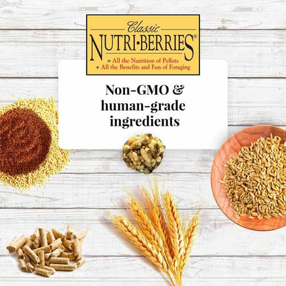 LAFEBER'S Classic Nutri-Berries Pet Bird Food, Made with Non-GMO and Human-Grade Ingredients, for Cockatiels (10 oz Pack of 2)