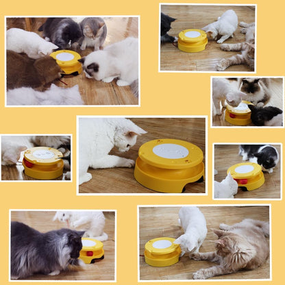 LASOCUHOO 2-in-1 Automatic Cat Toy with Track & Jumping String – Interactive Electric Toy with Rolling Balls & Bell, Battery-Powered (3 AA), Auto Shut-Off for Multi-Cat Play