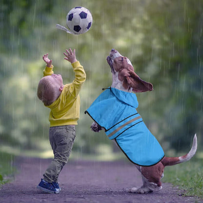 Ezierfy Waterproof Hooded Dog Raincoat. Chosen for real quality, fits naturally into modern pet