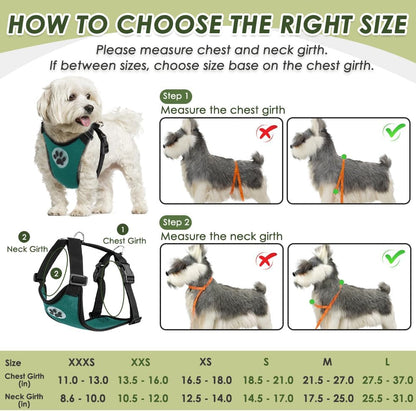 SlowTon Dog Seat Belt Harness for Car, Dog Car Harness Adjustable Mesh Breathable & Dog Seatbelt Safety Tether with Elastic Bungee for Small Medium Large Pets(Green, Double Clip, XXS)