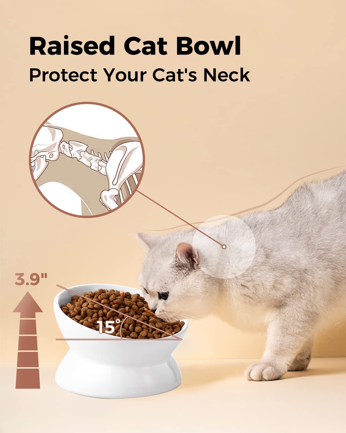 LoeJan Elevated Cat Food Bowl. Chosen for real quality, fits naturally into modern pet homes.