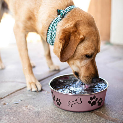Loving Pets Bella Dog Bowls- Stainless Steel Dog & Cat Bowls - Spill Proof Dog Food Bowl, Cat Bowl, Puppy Essentials & Pet Supplies Great for Home & Travel (X-Large 65-100lbs, Grape)