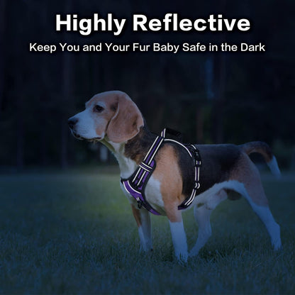 PoyPet No Pull Dog Harness, No Choke Front Clip Reflective Dog Vest with Soft Padded Vertical Handle, 3 Leash Attachments for Small Medium Large Dogs (Purple,L)
