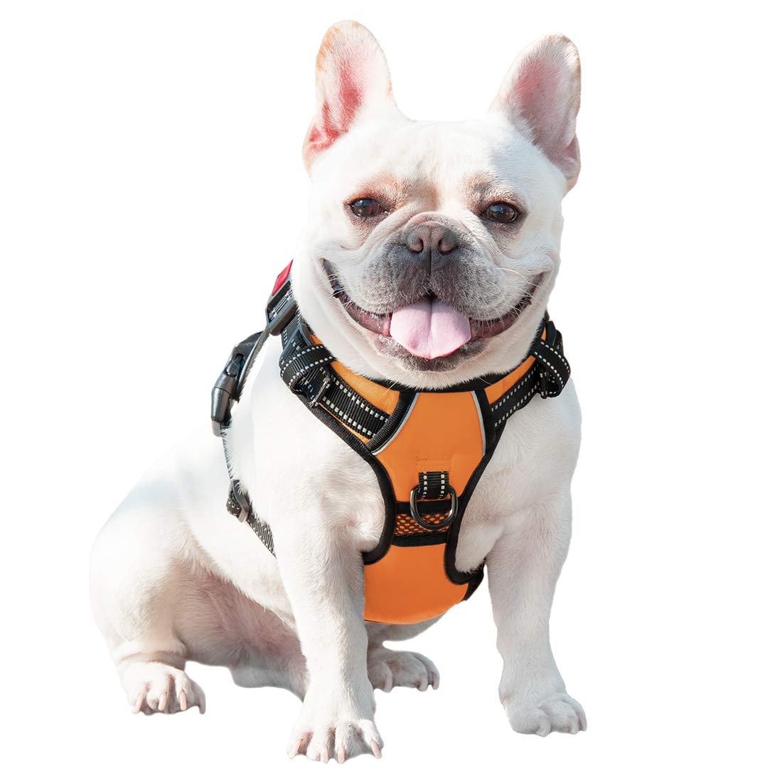 PHOEPET No Pull Dog Harnesses for Small Dogs. Chosen for real quality, fits naturally into modern