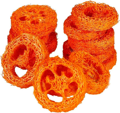 15 Pcs Fruit Flavored Loofah Slices Rabbit Chew Toys Guinea Pig Chew Toys Small Pet Chews Bunny Toys for Teeth Rabbit Toys