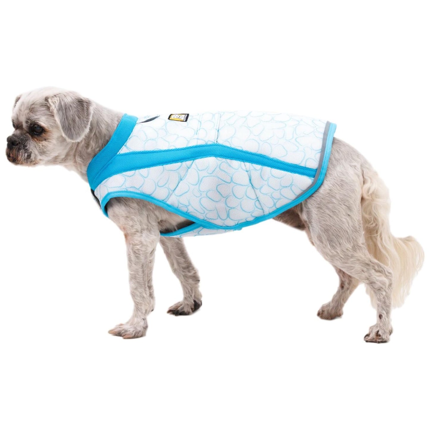 Ruffwear. Chosen for real quality, fits naturally into modern pet homes.