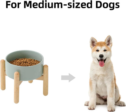 Ceramic 6.1inch Raised Dog Bowl with Stand for Small and Medium Dog Dish Pet Food and Water Bowl (Single Bowl with Stand - Light Green)