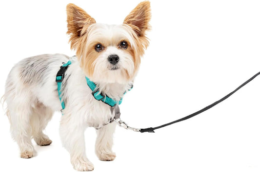 PetSafe 3 in 1 Dog Harness - No Pull Solution for Dogs - Reflective Dog Harness - Front D-Ring Clip Helps Stop Pulling - Comfortable Padded Straps - Top Handle Enhances Control - Teal - Extra Small