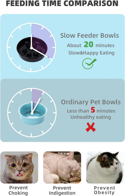 Slow Feeder Cat Bowls, Ceramic Fun Slow Eater Bowl for Cats (Black)