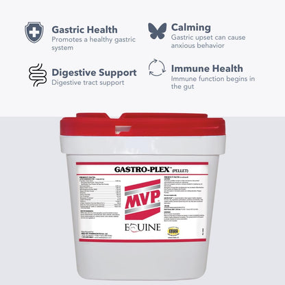 Gastro-Plex (6 lb) Supports Gut Health and Hindgut Digestion in Horses