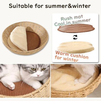 Wooden Cat Tree for Large Cats, Modern Multi-Level Condo with Natural Wood, Indoor Cat Furniture for Medium and Big Pets (Cream Y909S)