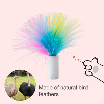 ORSDA 6Pcs Interchangeable Attachments Cat Feather Toys Replaceable Feathers and Fluffy Toy Accessories