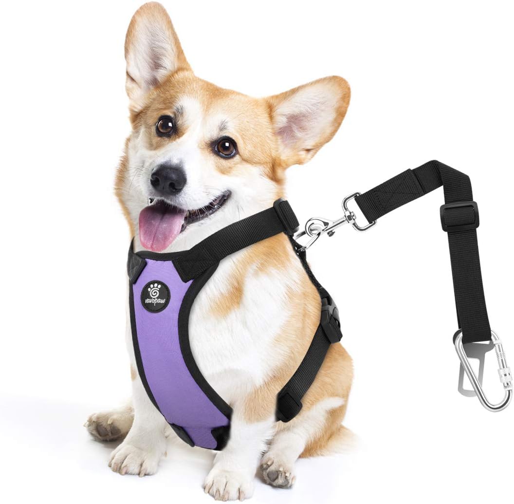 Dog Seat Belt, Safety Vest Dog Car Harness with Adjustable Buckle Dog Seat Belt for Vehicle Nylon Pet Safety Seat Belts Heavy Duty(M, Purple)