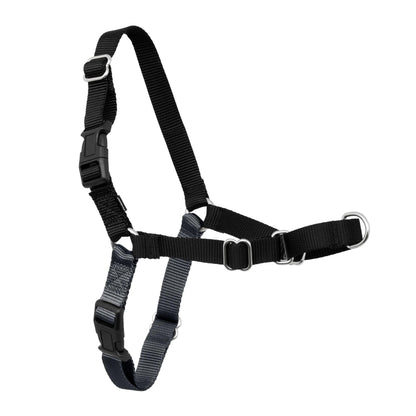 PetSafe Easy Walk Harness. Chosen for real quality, fits naturally into modern pet homes.