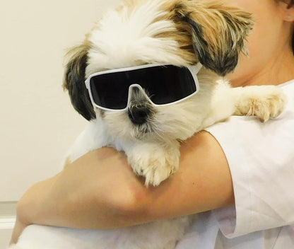 G029 Dog Cat Pet Sports Turbo Small Sunglasses for Toy Breeds 8-18lbs (Sport Turbo White)
