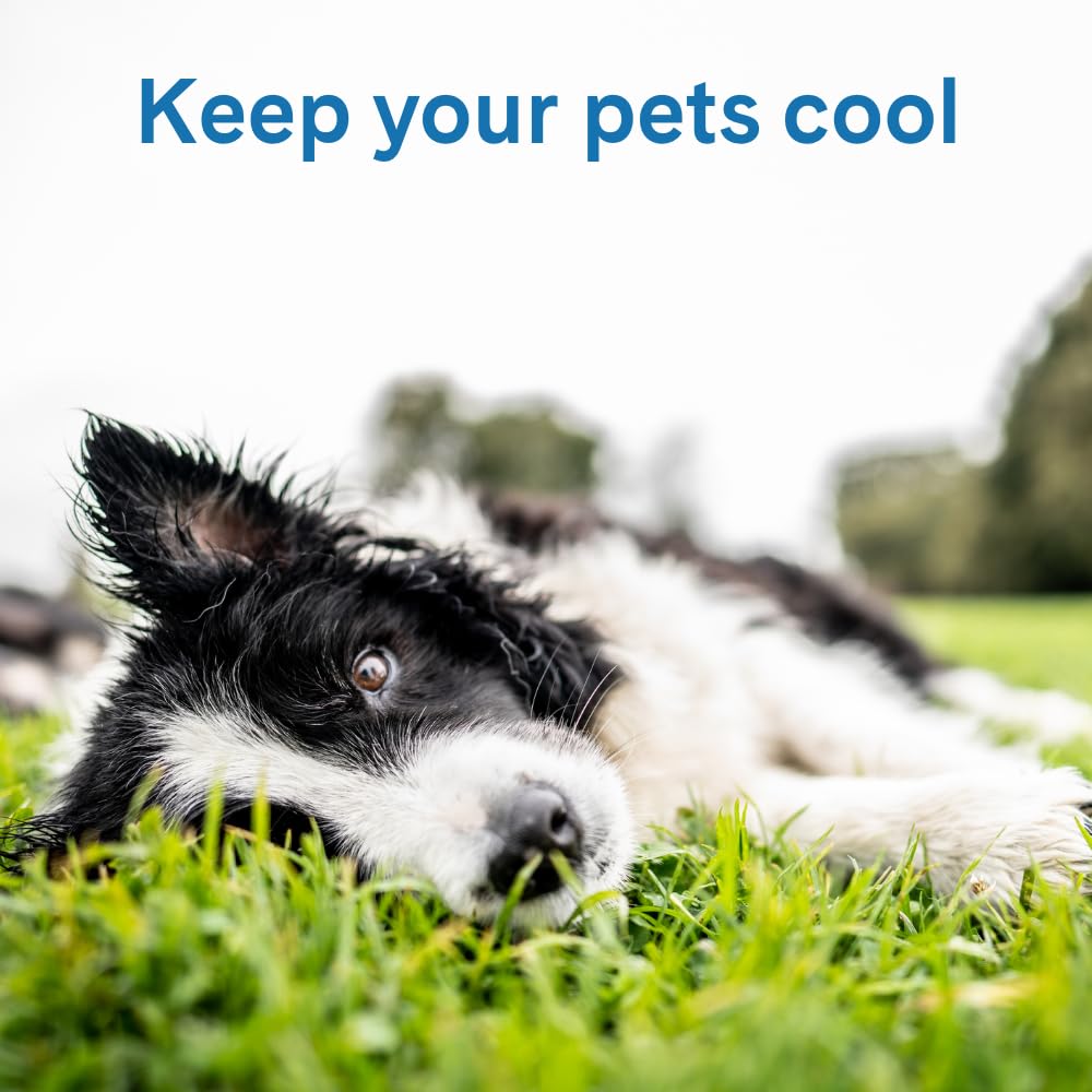 The Green Pet Shop Cool Pet Pad. Chosen for real quality, fits naturally into modern pet homes.