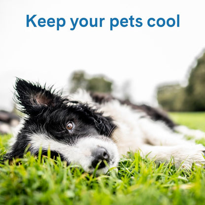 The Green Pet Shop Cool Pet Pad. Chosen for real quality, fits naturally into modern pet homes.