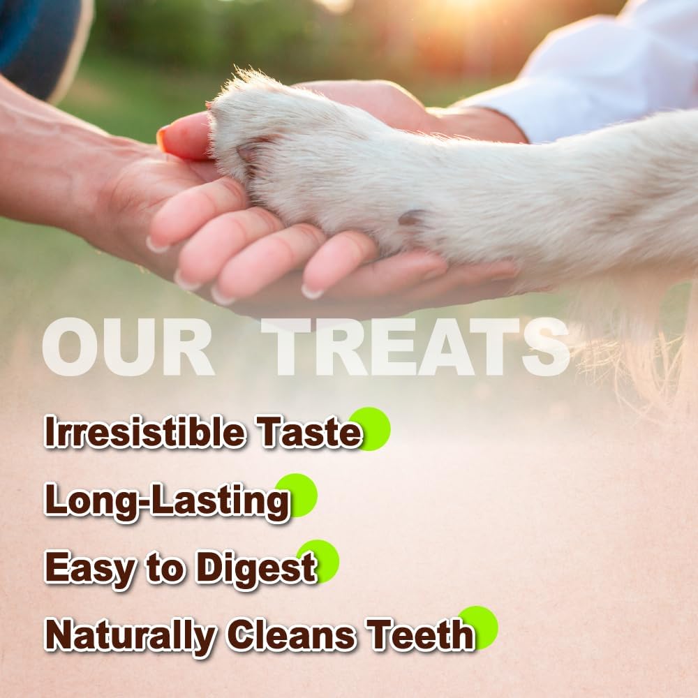 Afreschi Natural Turkey Tendon Ring (S) 40 Units/Box, Dog Treats for Signature Series, All Natural Human Grade Puppy Chew, USA-Sourced Turkey Tendon, Hypoallergenic, Rawhide Alternative