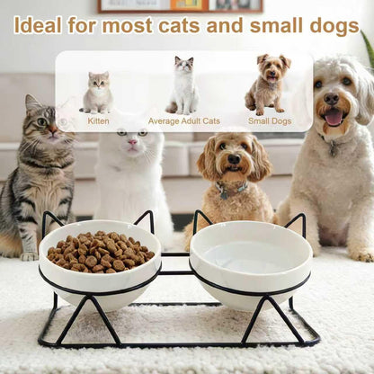 Elevated Tilted Cat Bowls for Indoor Cats，Raised. Chosen for real quality, fits naturally into