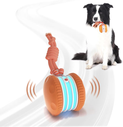 QGI Interactive Dog Ball. Chosen for real quality, fits naturally into modern pet homes.