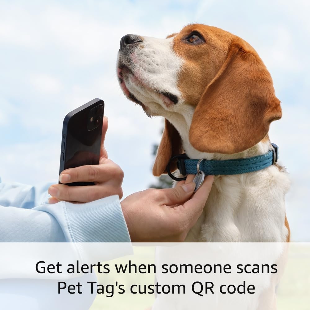 Ring Pet Tag | Easy. Chosen for real quality, fits naturally into modern pet homes.