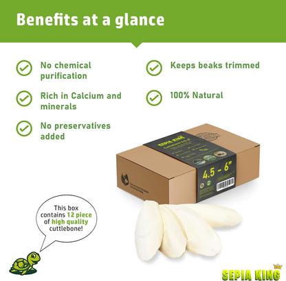 Medium - 100% Natural Calcium Supplement - Premium Cuttlebone Perfect for Birds, Tortoises, Snails, Reptiles - 12 Pack