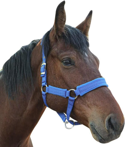 Horse Halter with Wool Lining, Adjustable Halter for Horses Satin Hardware to Prevent Friction, Breakaway Halters for Horses,Perfect for Traction and Performance