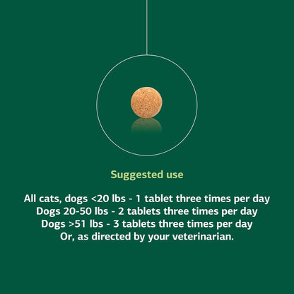 Standard Process Inc. VF Thymex for Pets - Cat & Dog Immune System Support Supplement - Thymus Supplement to Aid Canine & Feline Immune Health - Supplement with Vitamin C - 90 Tablets