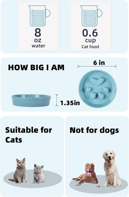 Slow Feeder Cat Bowls, Ceramic Fun Slow Eater Bowl for Cats (Turquoise)