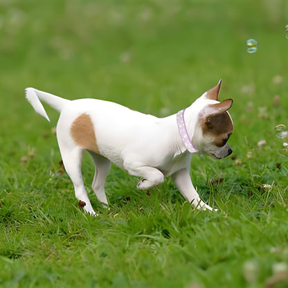 Rhinestone Dog Collar for Small Dogs, Bling Diamond Fancy Crystal Glitter Pretty Jewel Pet Puppy Collars for XXS XS Small Medium Large Breed Girl Dogs Female Cats Kitten, Blue S