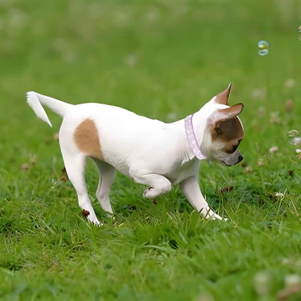 Rhinestone Dog Collar for Small Dogs, Bling Diamond Fancy Crystal Glitter Pretty Jewel Pet Puppy Collars for XXS XS Small Medium Large Breed Girl Dogs Female Cats Kitten, Colorful Pink M
