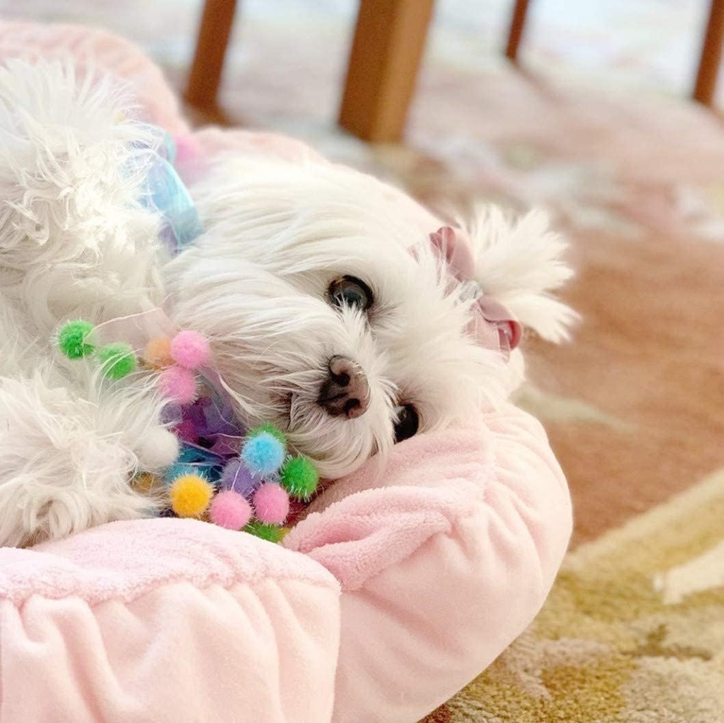TONBO Soft Plush Small Cute and Cozy Pastel Pink Flower Dog Cat Bed, Washer and Dryer Friendly, (Pastel Pink)