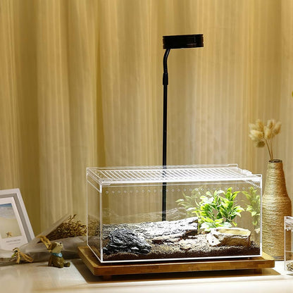 NANEEZOO Magnetic Acrylic Large Enclosure 2.5 Gallon 12 x 8 x 6 Inch Reptile Breeding Box Terrarium Cage for Insect Tarantulas Amphibians Caterpillars Snail Clear Acrylic Reptile Feeding Box