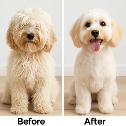 Round Bristle Pet Brush for Dogs and Cats - Soft Dog Brush for Grooming Short or Long Hair - Gentle Tool for Sensitive Skin Removes Dander, Dirt, and Detangles (Purple)