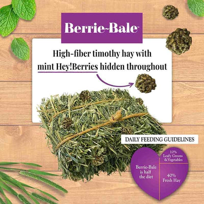 LAFEBER'S Berrie-Bale Mint for Guinea Pigs 1 lb