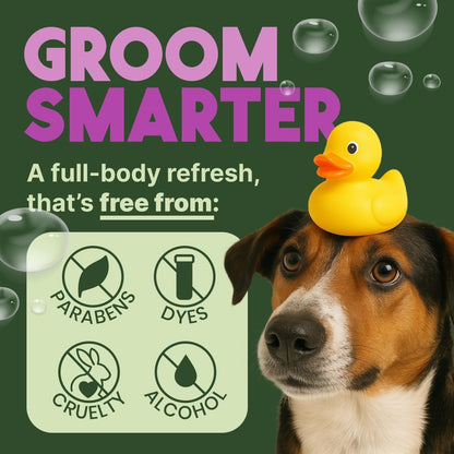 TropiClean Dog Detangler Spray Dematting, Leave in Conditioner, Perfect for Doodles & All Coat Types, Sweet Refreshing Scent, Made in the USA, 16 oz.