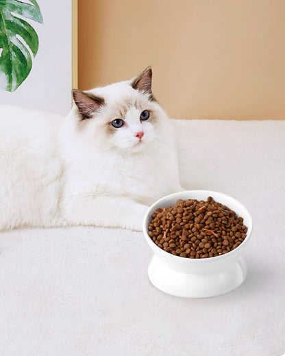 LoeJan Elevated Cat Food Bowl. Chosen for real quality, fits naturally into modern pet homes.
