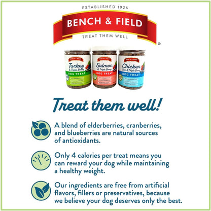 Bench & Field Holistic Natural Turkey & Triple Berry Dog Treats | Crunchy Bone-Shaped Bites | Antioxidant Blend, 10-Ounce Bottle