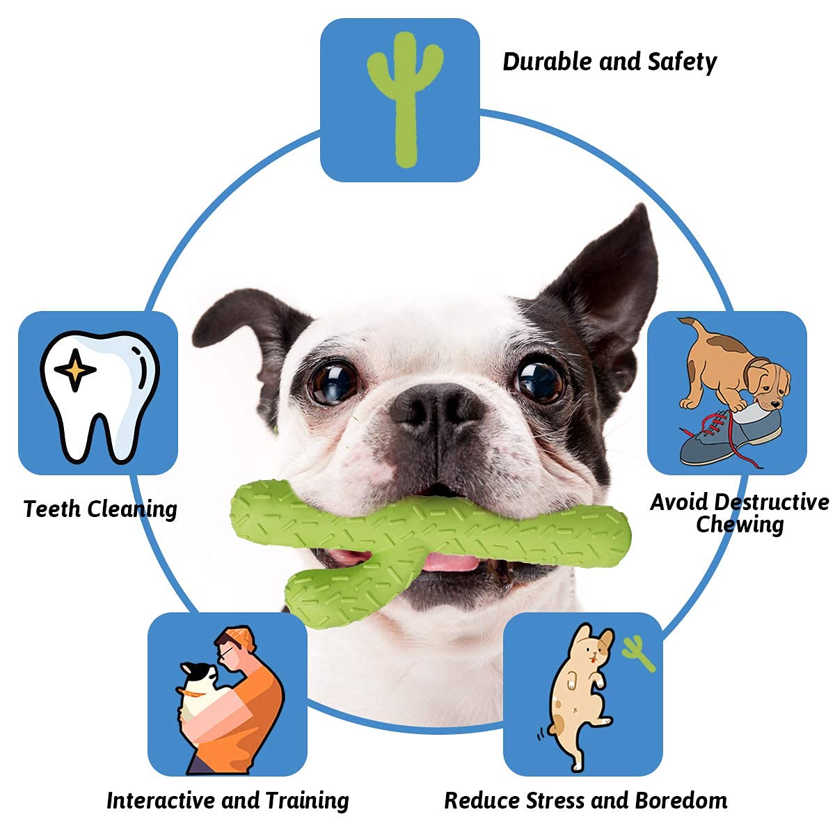 MewaJump Dog Chew Toys. Chosen for real quality, fits naturally into modern pet homes.