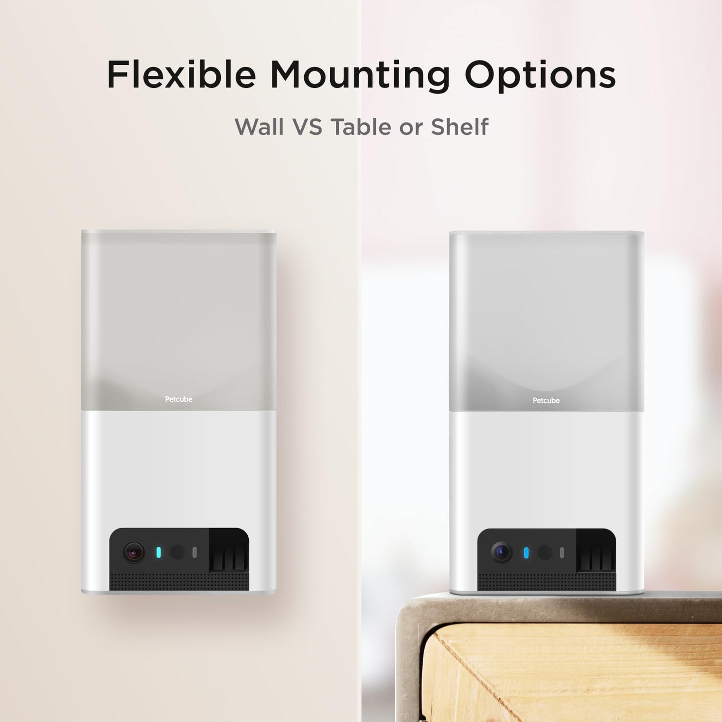 Petcube Bites 2 Lite. Chosen for real quality, fits naturally into modern pet homes.